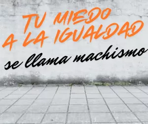 Lee más sobre el artículo La problemática estructural del machismo.