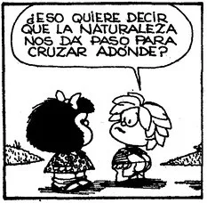 Lee más sobre el artículo Las amenazas medioambientales que nos esperan.