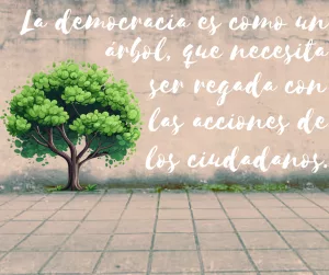 Lee más sobre el artículo Las democracias están amenazadas.