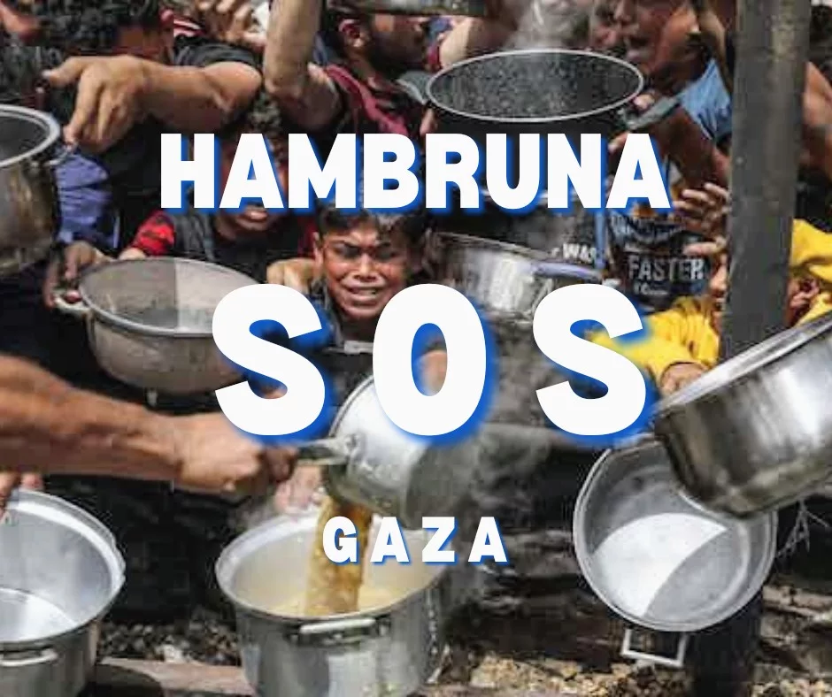 Lee más sobre el artículo Hambruna en Gaza.