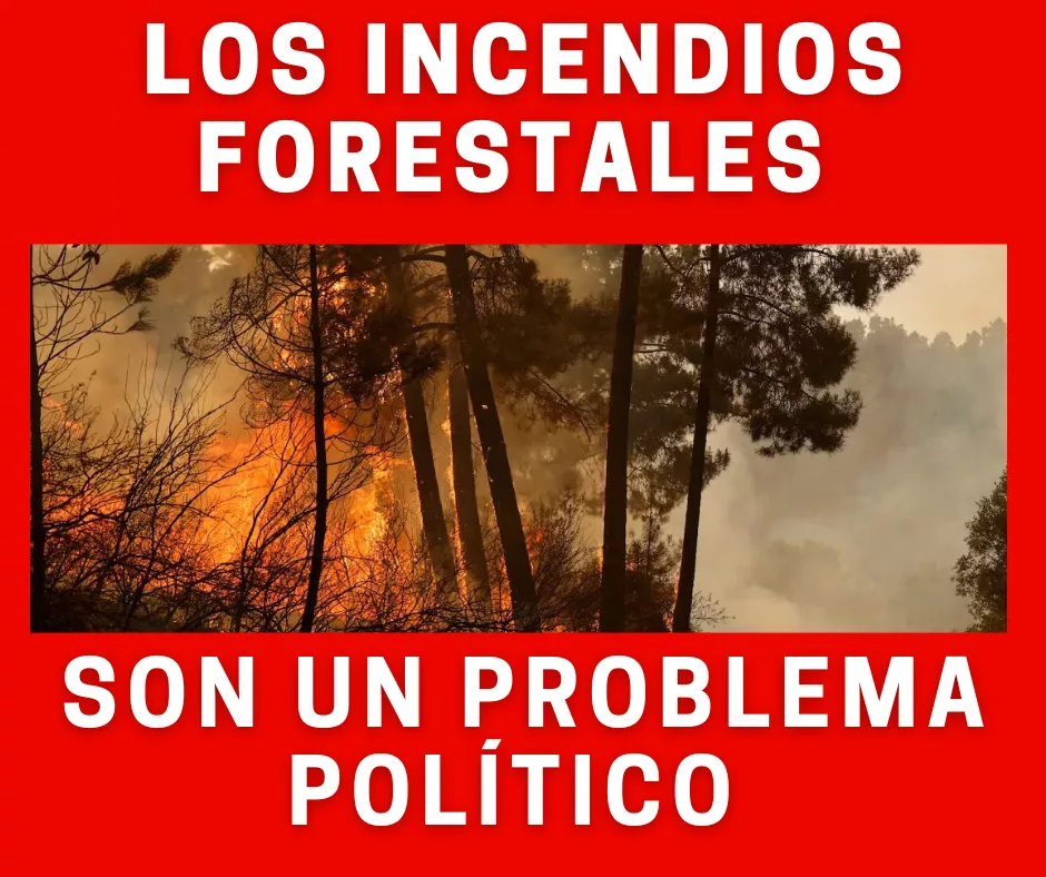 En este momento estás viendo Los incendios forestales son un problema político.