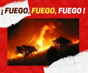 Lee más sobre el artículo ¡ Fuego, fuego, fuego !