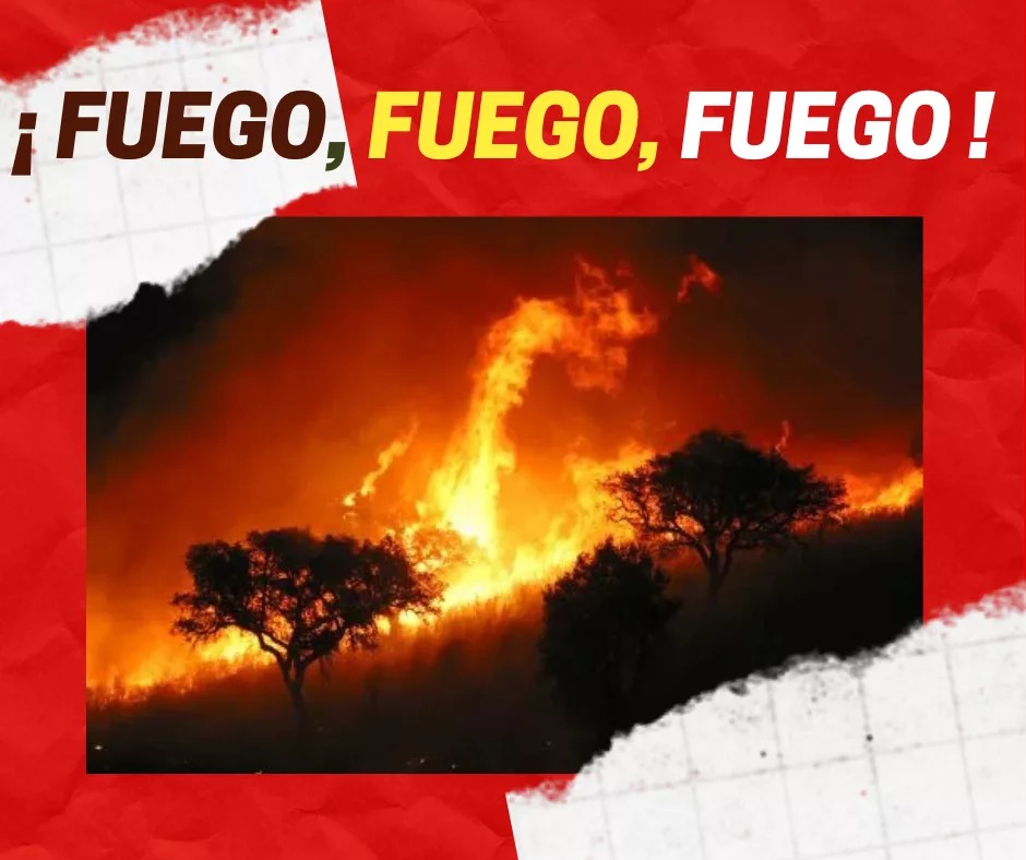 En este momento estás viendo ¡ Fuego, fuego, fuego !