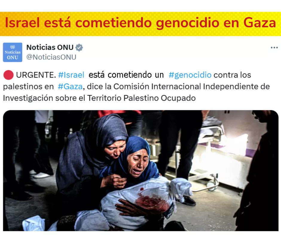 Lee más sobre el artículo Israel está cometiendo genocidio en Gaza.