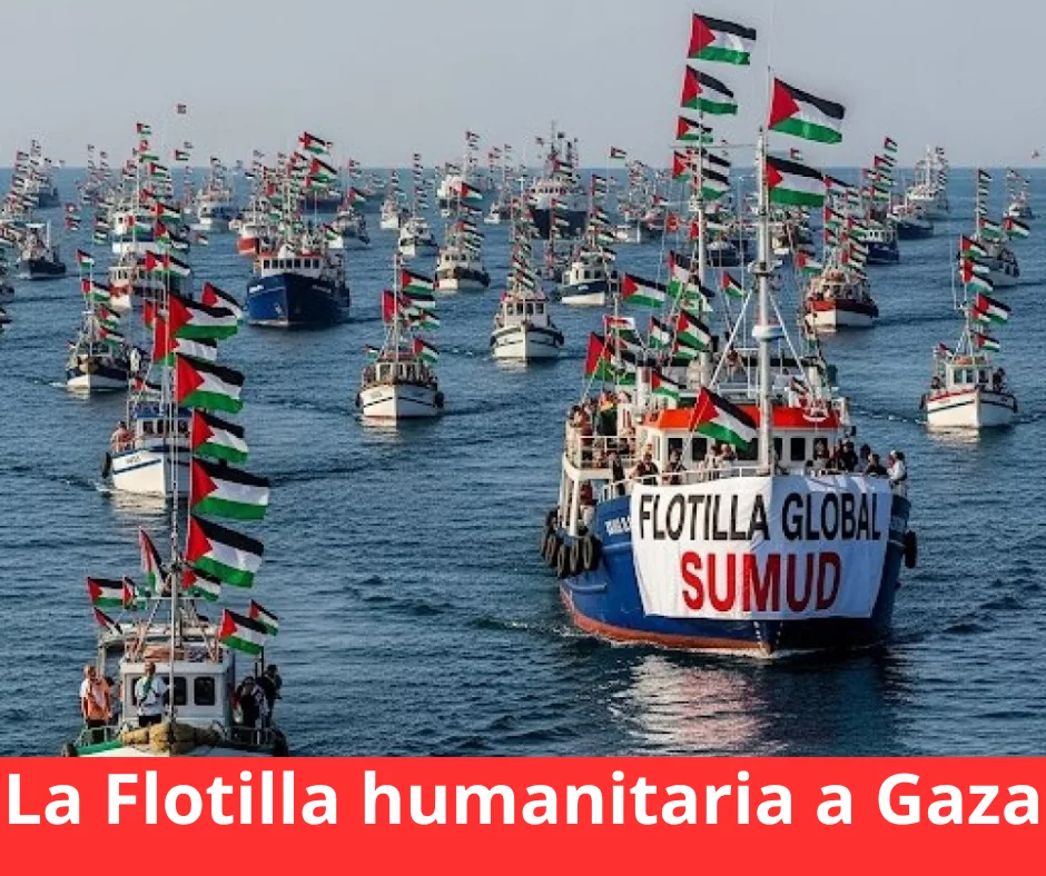 Lee más sobre el artículo La Flotilla pirateada.