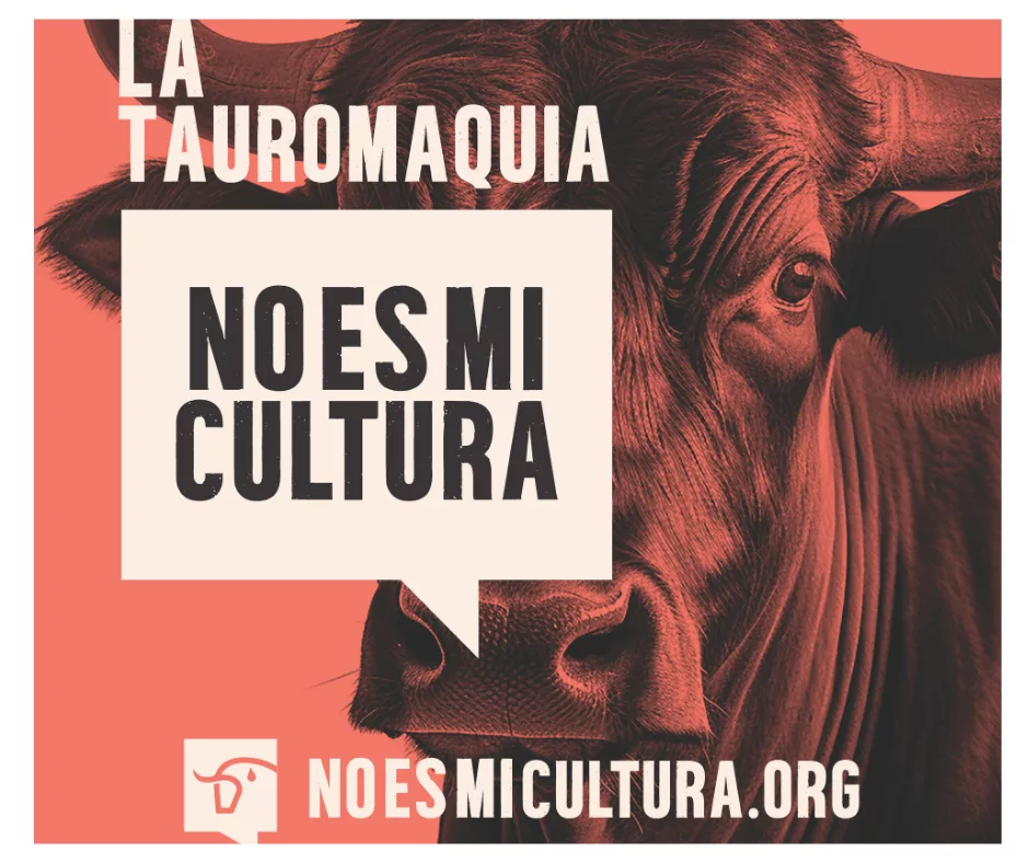 Lee más sobre el artículo La tauromaquia: No es mi cultura