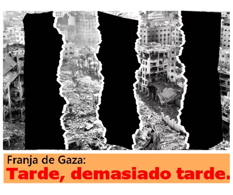 Lee más sobre el artículo La paz en Gaza, llega tarde.