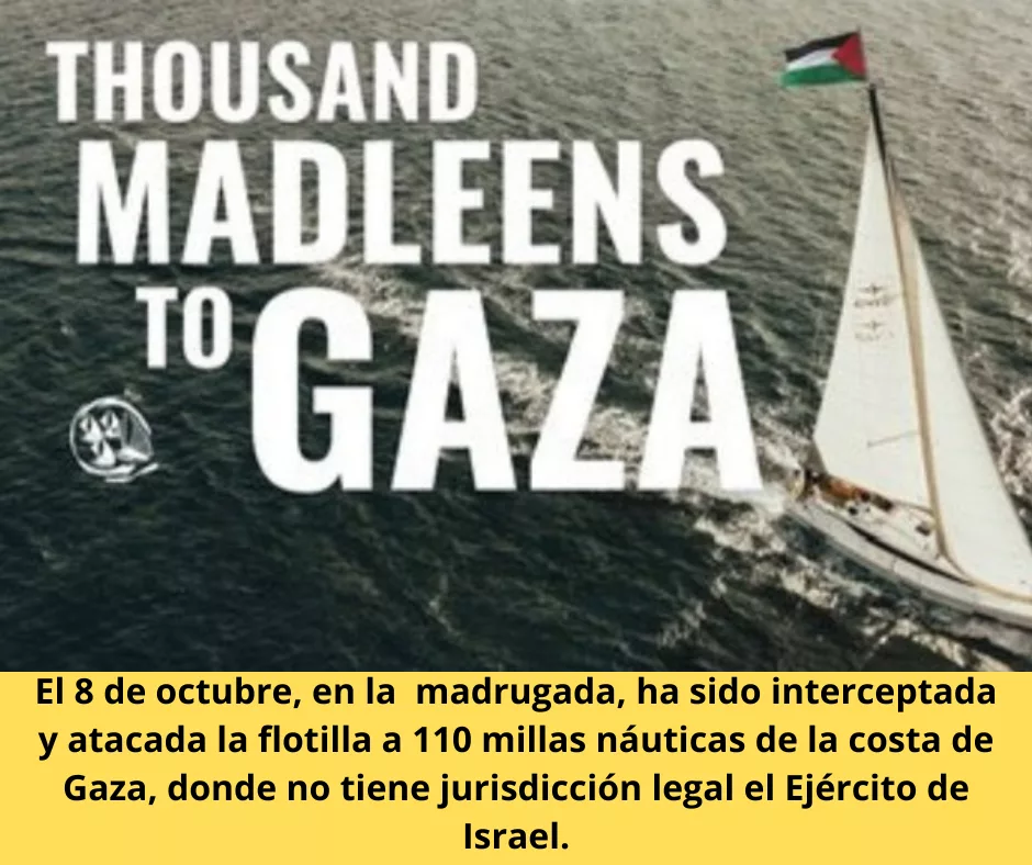 Lee más sobre el artículo Thousand Madleens a Gaza.