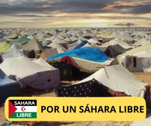 Lee más sobre el artículo El Sáhara Occidental no será ni libre, ni independiente.