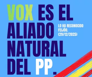 Lee más sobre el artículo El aliado natural del PP es Vox.