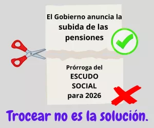 Lee más sobre el artículo Trocear el escudo social, no es la solución.