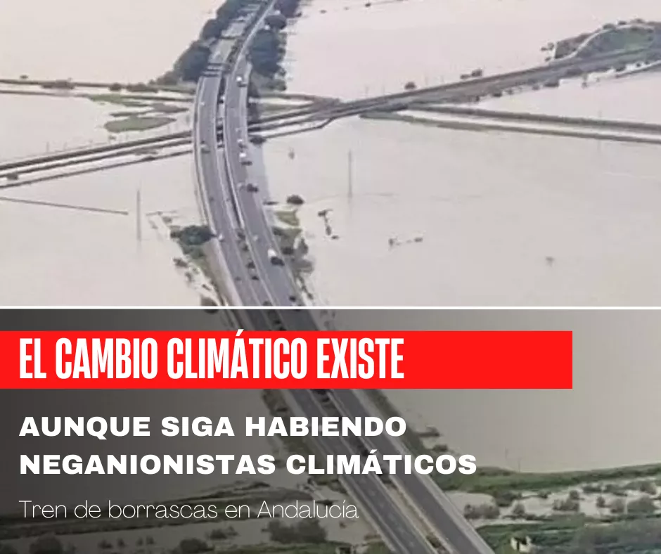 Lee más sobre el artículo Los negacionistas climáticos siguen engañando.
