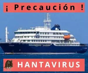 Lee más sobre el artículo Hantavirus: solidaridad no significa olvidar la precaución.