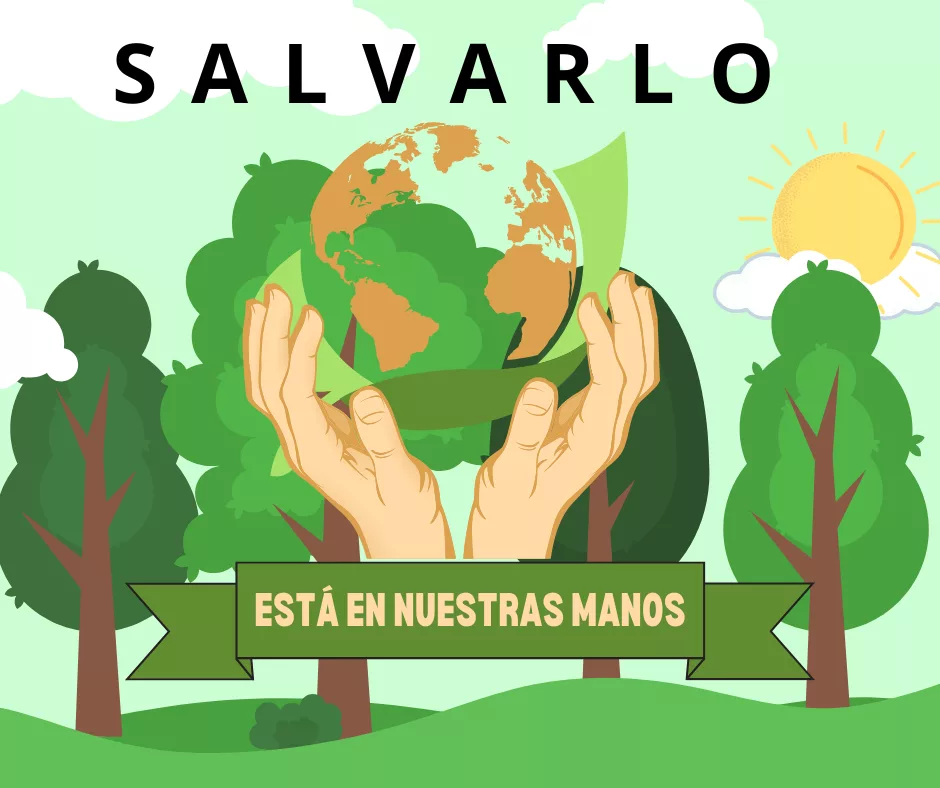 Lee más sobre el artículo Pacto por la emergencia climática.
