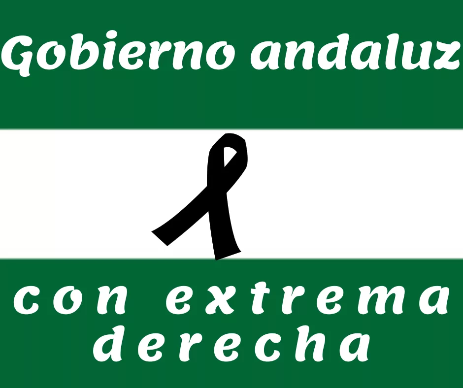 Lee más sobre el artículo Gobierno andaluz con extrema derecha.