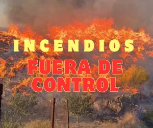 Lee más sobre el artículo Incendios fuera de control.