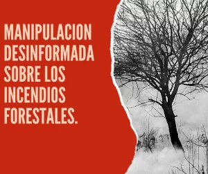 Lee más sobre el artículo Manipulación desinformada sobre los incendios forestales.