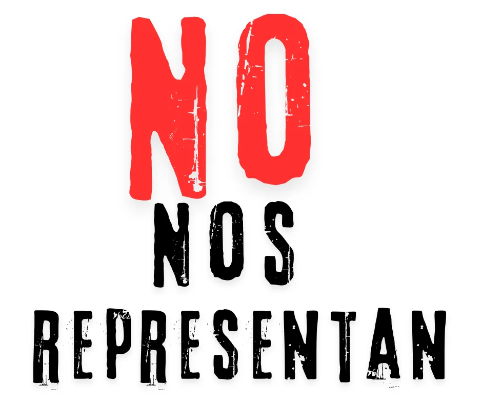 Lee más sobre el artículo No nos representan.